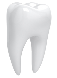 dente.png