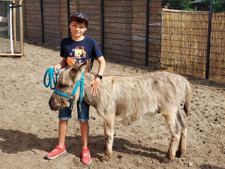 Tierpfleger auf Zeit