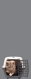 Logistics Services.png