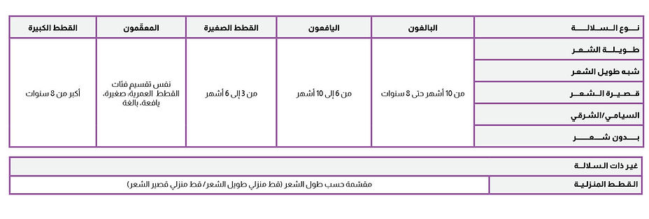 السلالة عربي.jpg