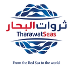 Screen Shot 2022-01-06 at 9.11.59 AM.png