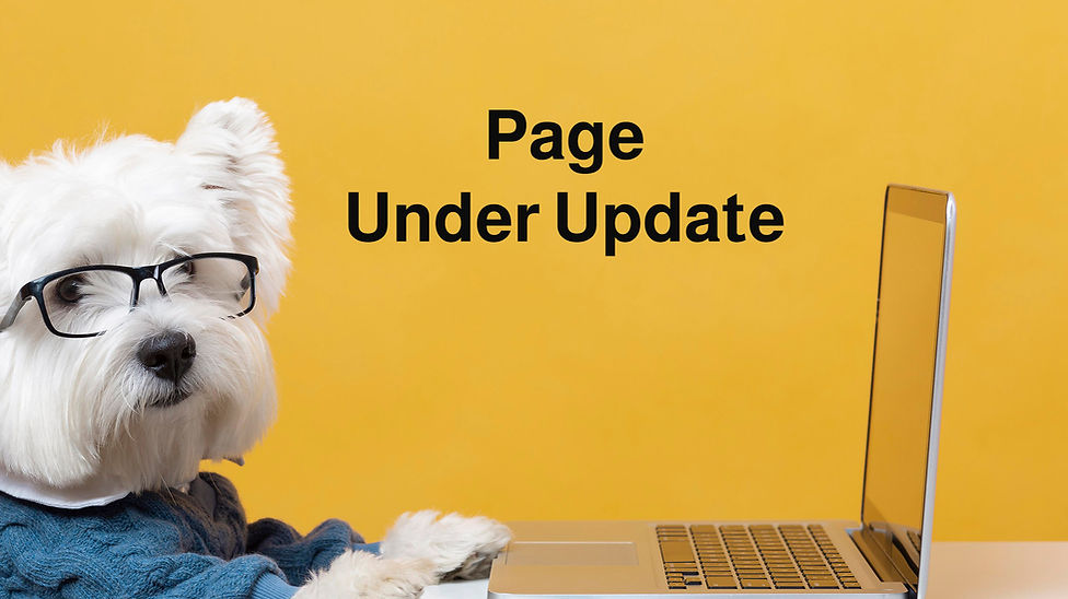 Page under update copy.jpg