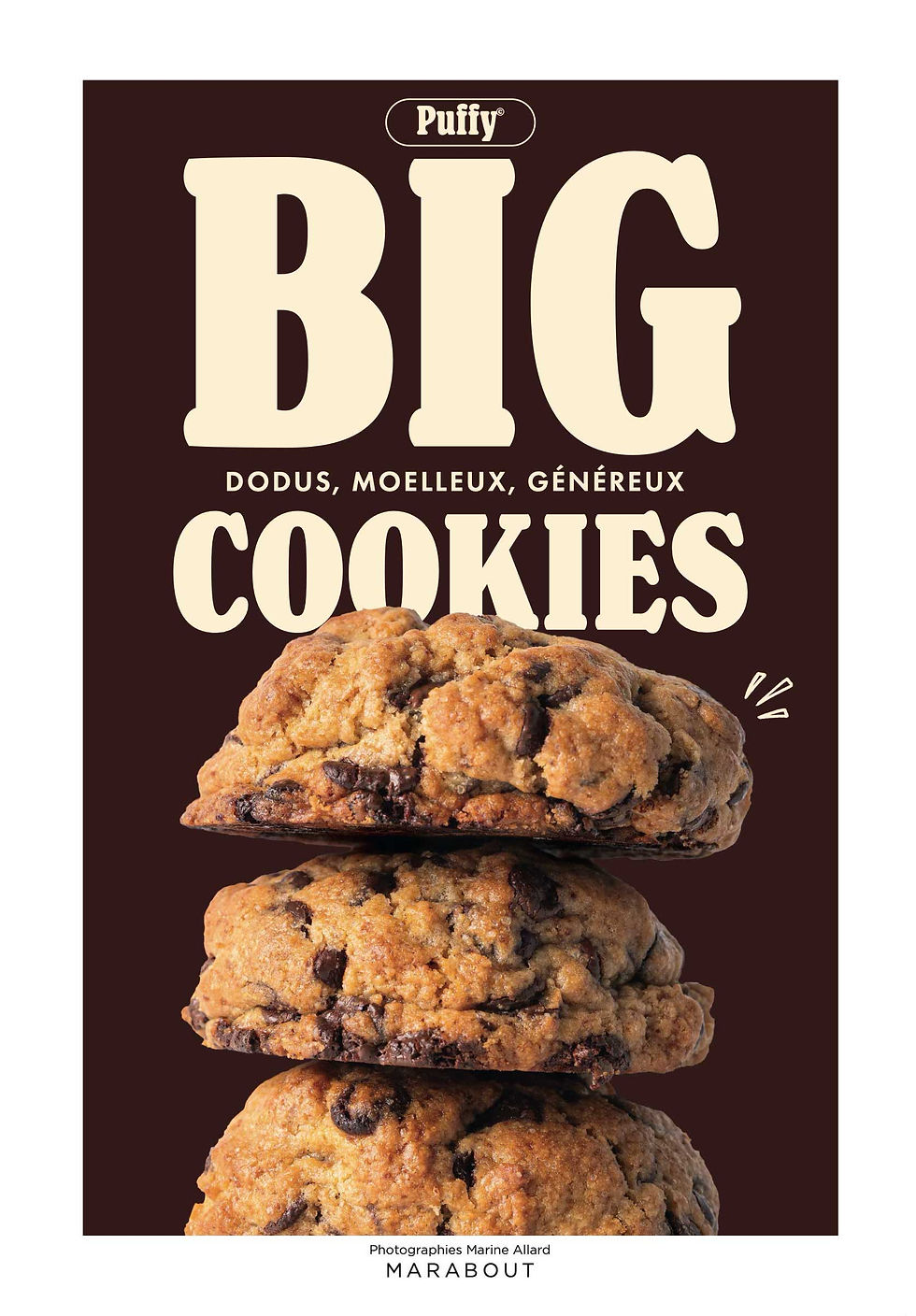 book-big-cookies-2.jpg
