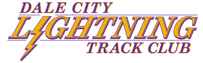 Lightning logo