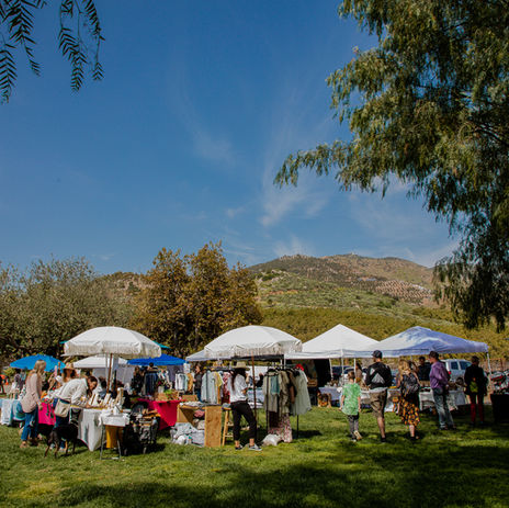 04.16.2023_Makers N Shakers-670.jpg