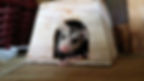mouseinahousedistant