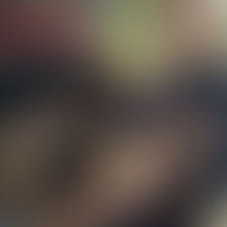 Sandhill Crane Skyway