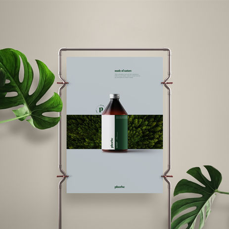 Phorbe Hemp Boutique