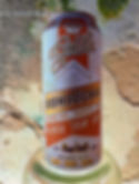 Botanical "Cream" Soda Kombucha