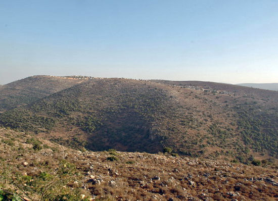 יוגה באזור כרמיאל משגב 