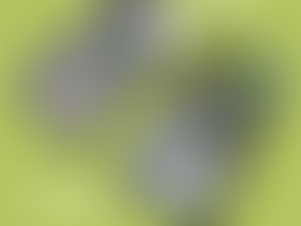 【修理】iPhone11 | 液晶・画面割れ修理 | 太宰府市からのご来店