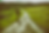 IMG_6441.PNG