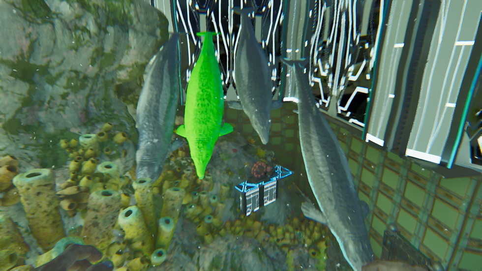 Basilo Bundles 4x Adult Female Basilosaurus (Cross PVE Bryar)