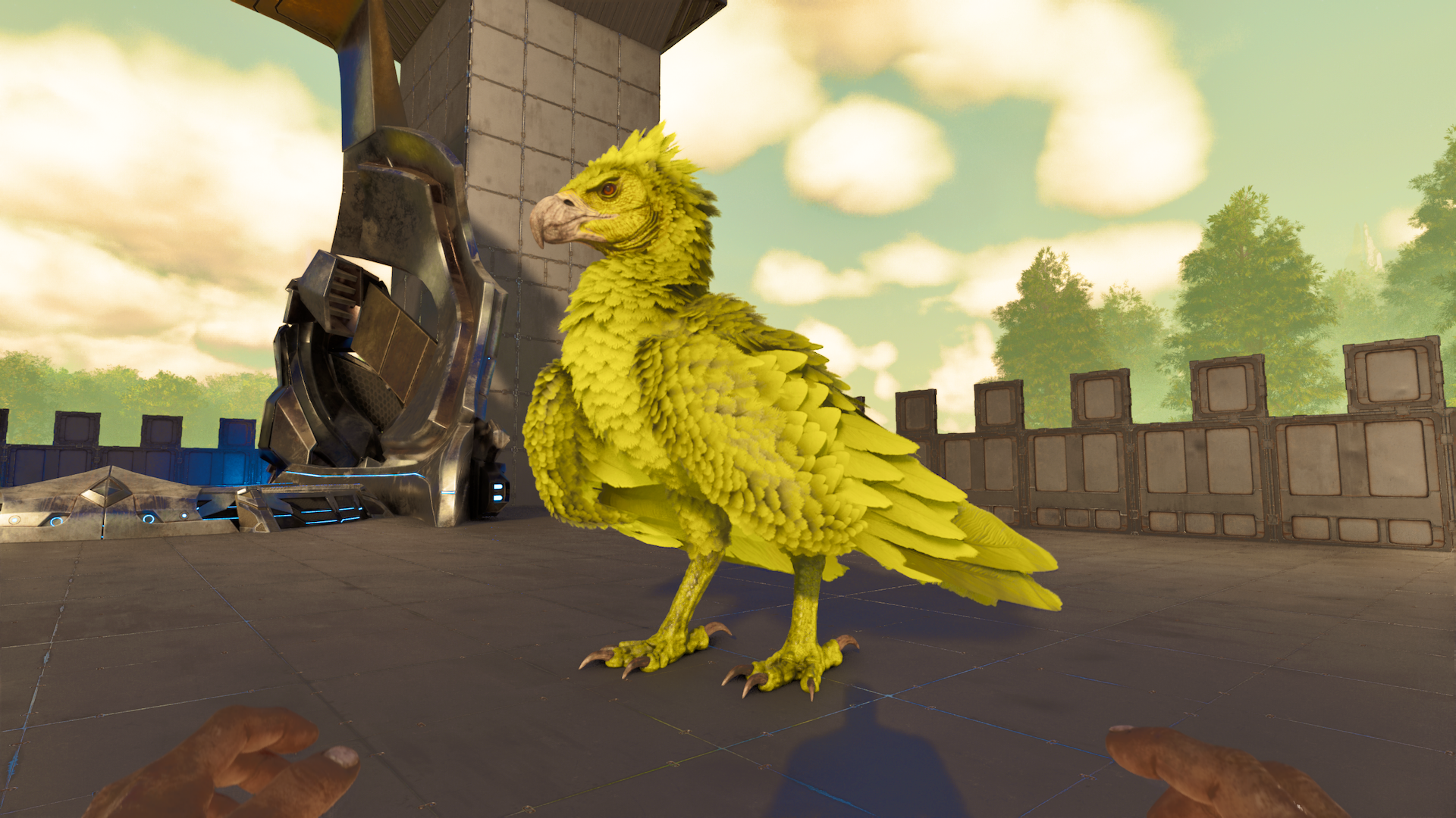 Argentavis Solid Yellow #4 š (Argy) (Cross PVE Bryar)