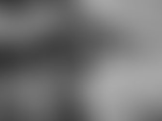 Οι πιτσιρίκοι