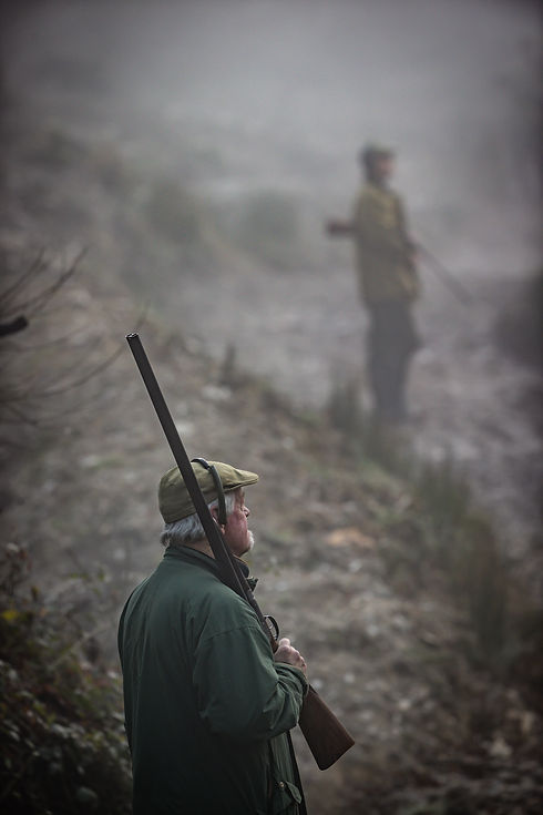 Walking Gun OW Lanhydrock 281224-7787.jpg