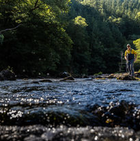 Low angle view of a person in a river with trees Walking Gun Photography image of Grouse shooting Hughes & Co