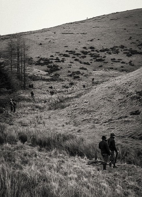 ©Walking Gun - Sweet Lamb 2.0 -9S6K6830.jpg