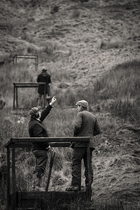 ©Walking Gun - Sweet Lamb 2.0 -BA9I4970.jpg