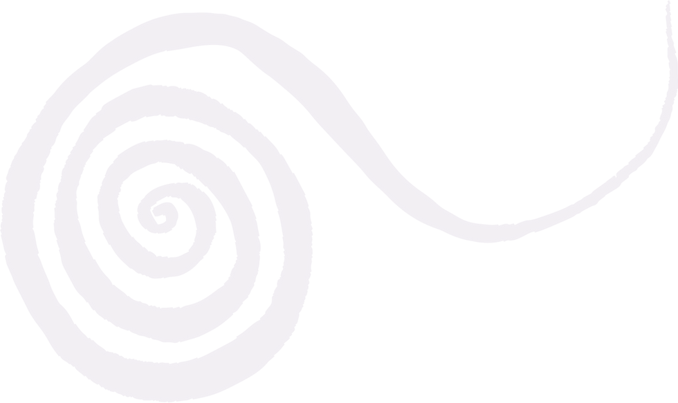 spiral-2 (1).png
