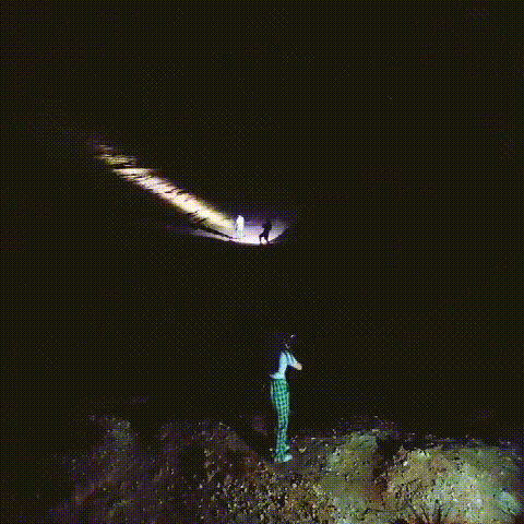 aca29bd451d96c85ea571a4ce3080d0789260b0cab6da1ecac72711116382ca6.gif