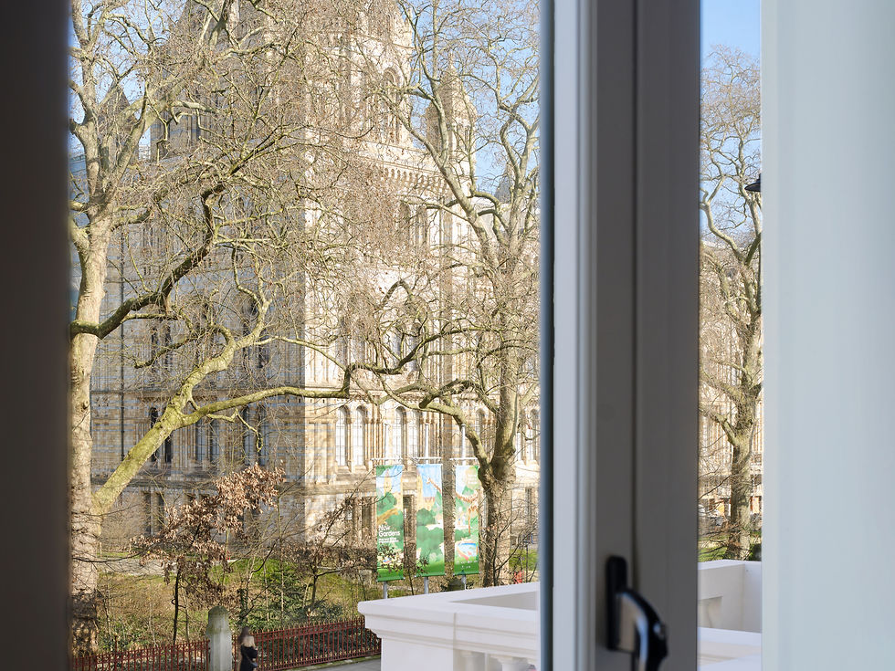 Sunlit view through a window of a historic stone building behind bare trees, with green banners reading New Gardens.