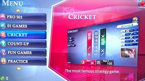 Cricket Game