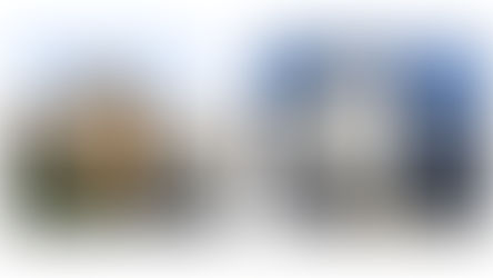 Putting your stamp on a home extension and remodel