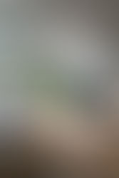 "I want a 6m extension to the back of my house and the builder said I need drawings"