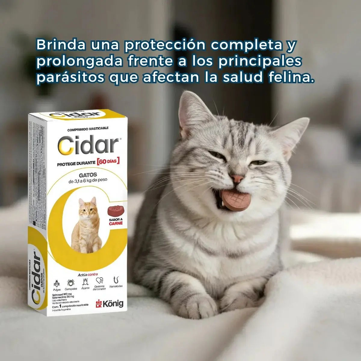 CIDAR Antiparasitario externo e interno para gatos de 3.1 a 6 kg