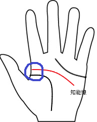 知能線1(離れ型)