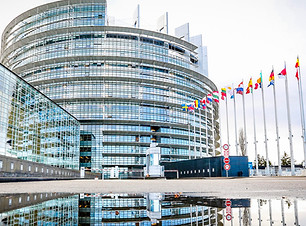 parlamentoeuropeo-strasburgo_edited.jpg