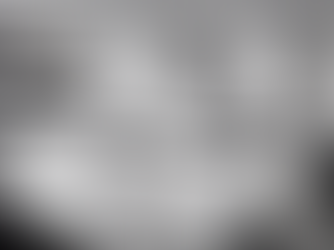 Top 5 Signs of Bed Bug Infestation in Hotels