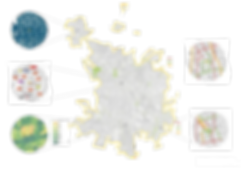 boceto 7B - Meor - Website-19.png