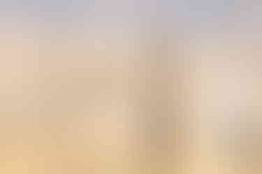 Zebra (Orange-breasted) Waxbill