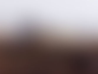 And Bears... Oh My! - Utqiagvik (Barrow), AK - Part 3