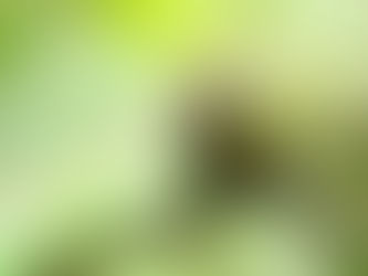 I'll Not Be Home for Christmas (Costa Rica - Part 2)