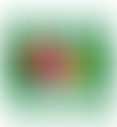 Project Pyramid Clients & Projects 2022