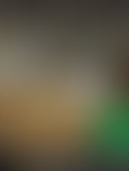 Addressing Food Insecurity in Nashville: A Closer Look at Local Organizations’ Efforts