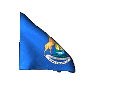 Michigan_240-animated-flag-gifs.gif
