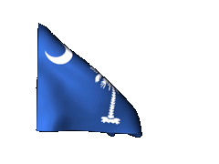 South-Carolina_240-animated-flag-gifs.gi