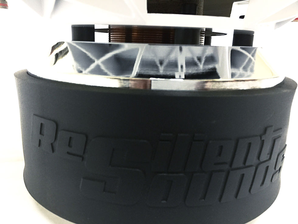 Thumbnail: Platinum 15 2000 RMS Woofer