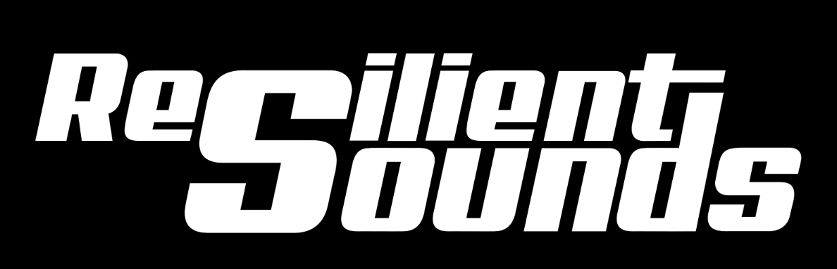 Entry 12 V2 Recone Kit