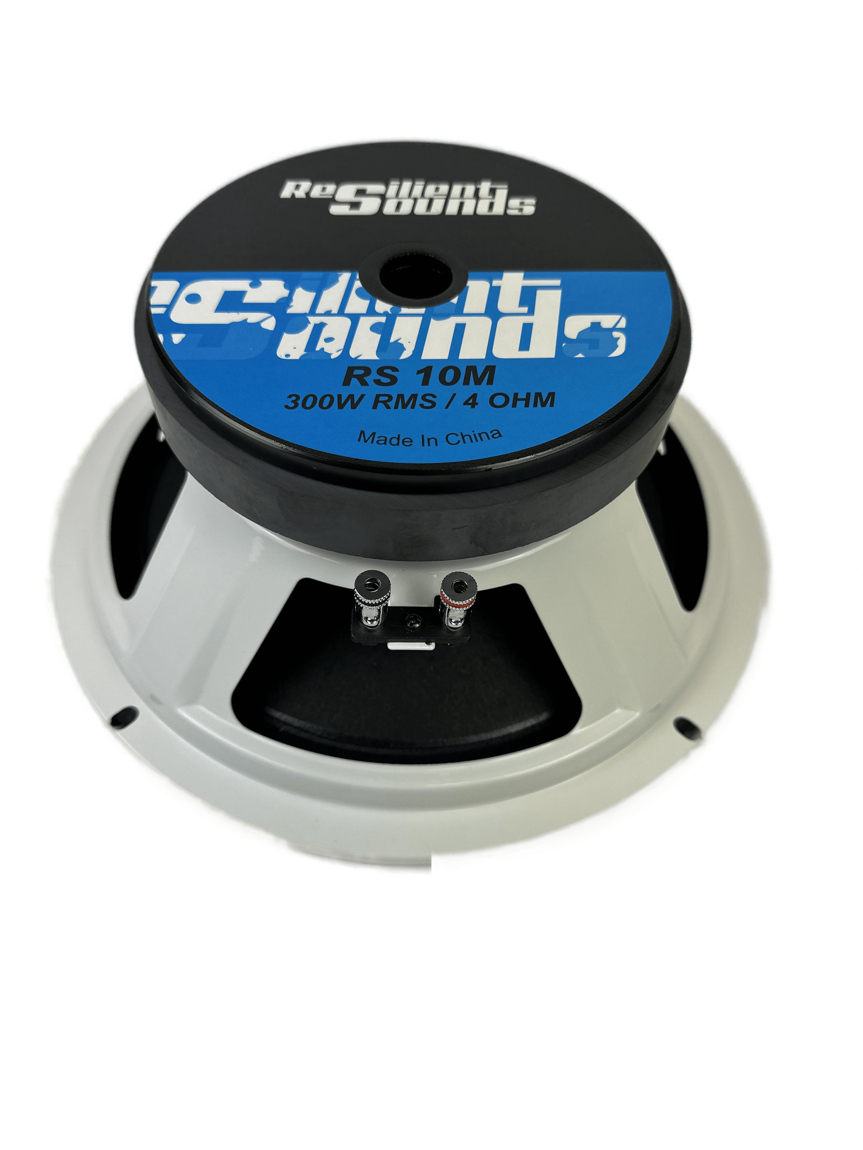 RS 10M 300w RMS 4ohm 10"speaker
