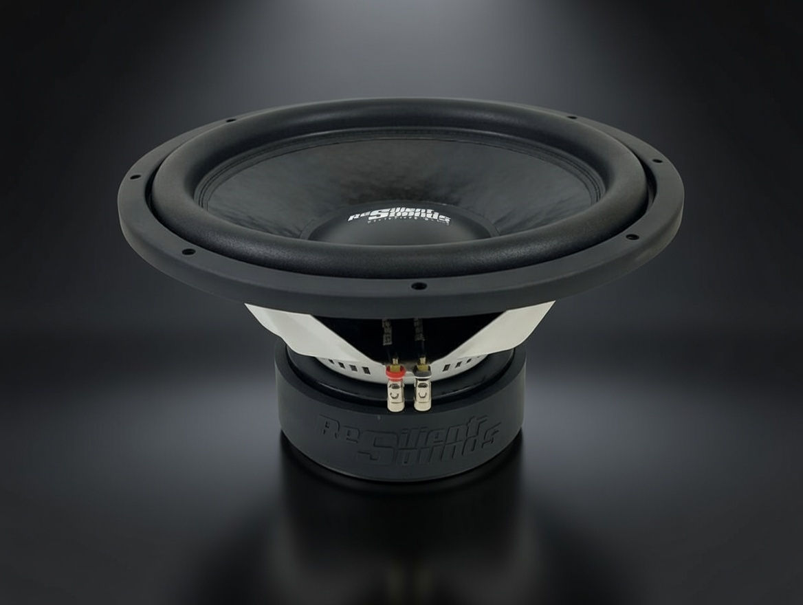 RS 15 V2 750RMS ENTRY WOOFER