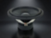 RS 15 V2 750RMS ENTRY WOOFER