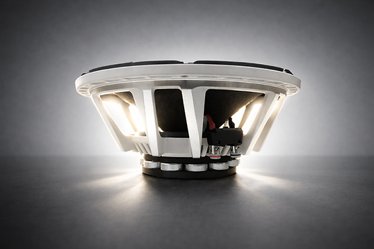 RS NEO 10 500w RMS 4ohm 10