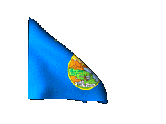 Montana_240-animated-flag-gifs.gif