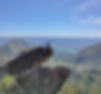 Batu-maroppa-di-samosir_edited.jpg