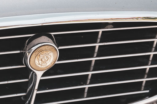 Kühlergrill jaguar e type 